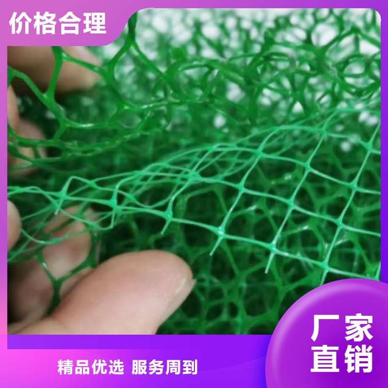 三维植被网植草格分类和特点