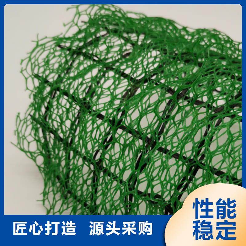 三维植被网【排水板】严格把控每一处细节