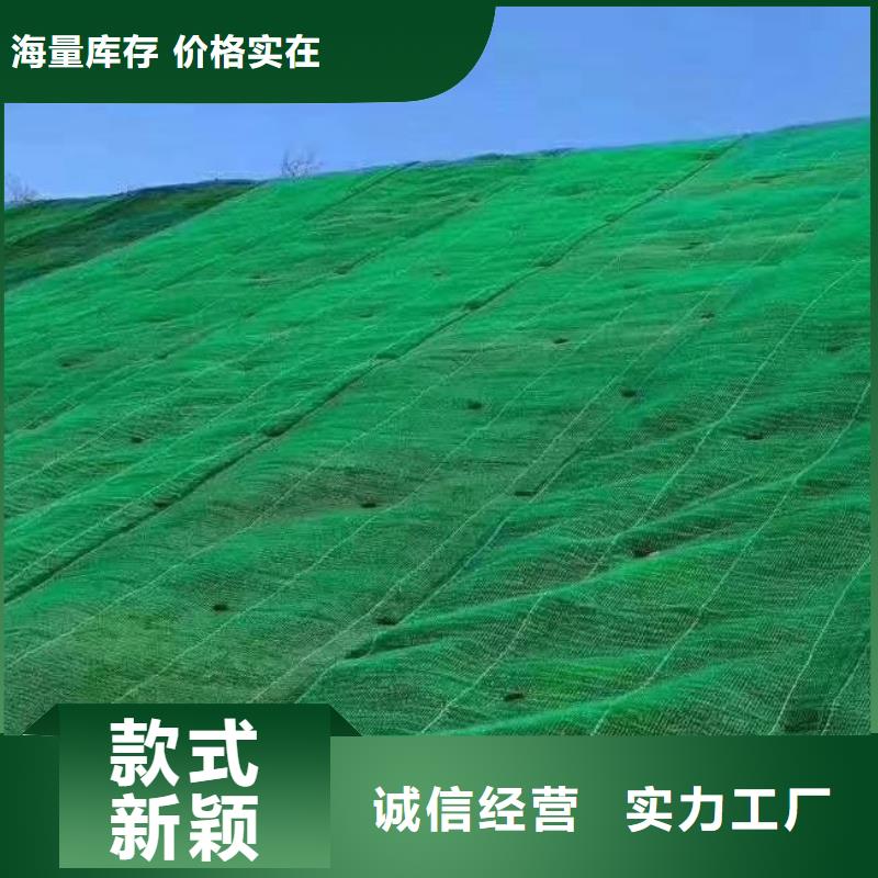 三维植被网水泥化粪池重信誉厂家