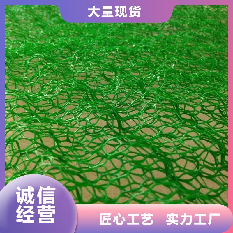 【三维植被网植草格价格地道】