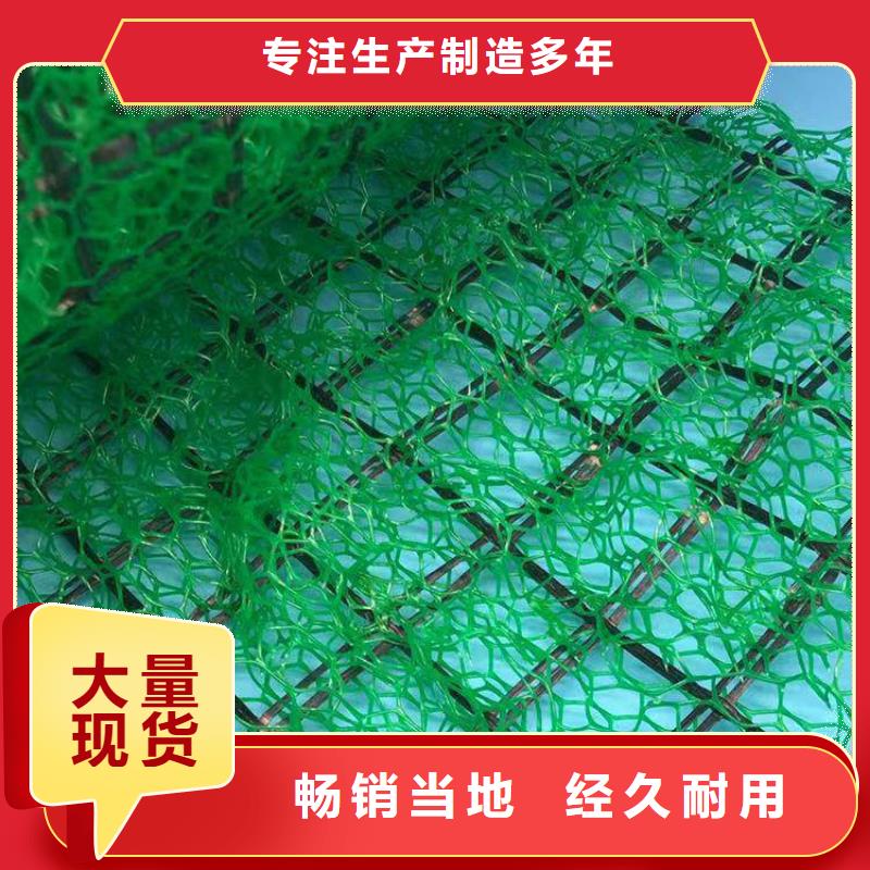 三维植被网【植草格】常年出售