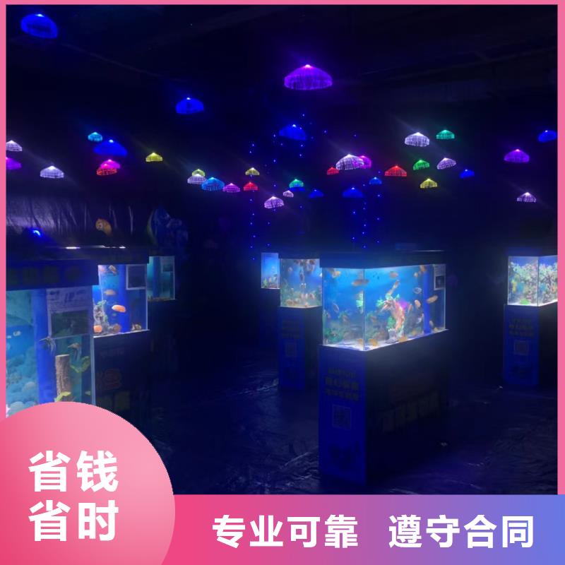 重庆<潼南> 当地 帽带企鹅业内好评