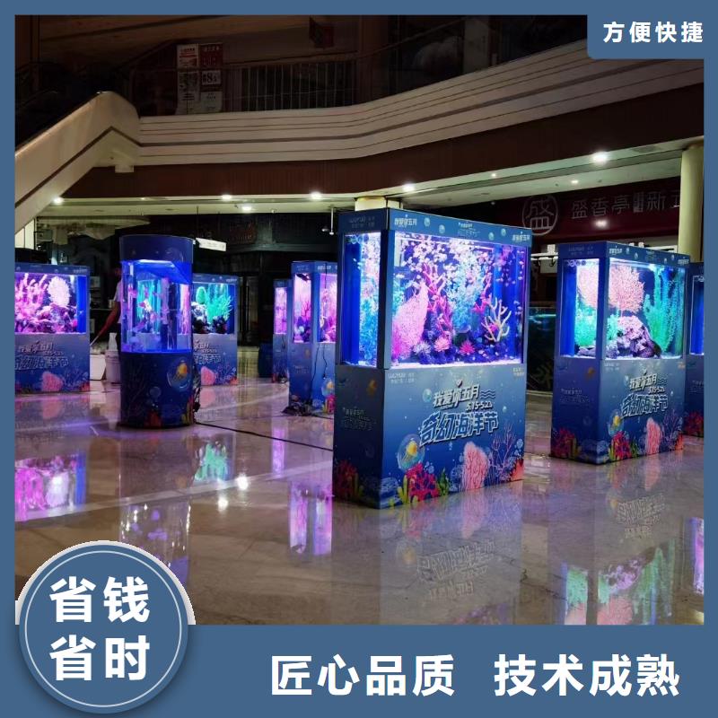 重庆<潼南> 当地 帽带企鹅业内好评