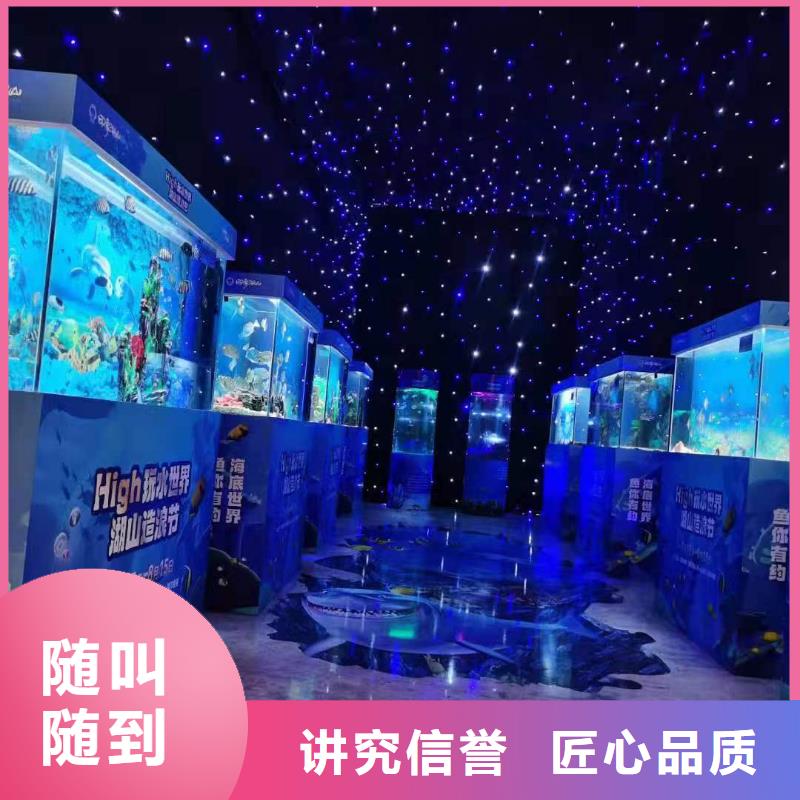 【烟台】 本地 发货及时的巴布亚企鹅批发商