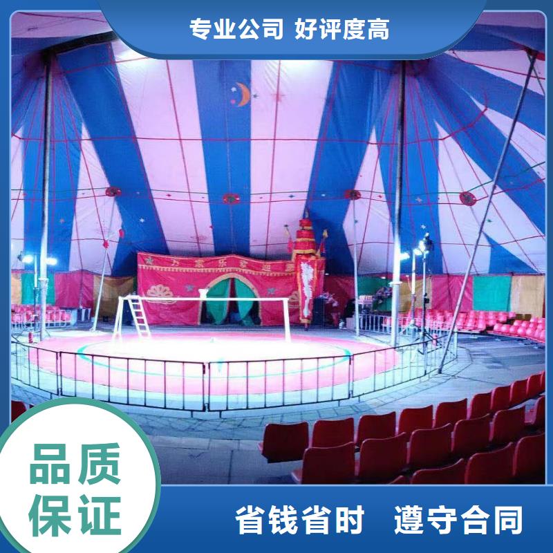 马戏团/羊驼-【马戏团表演】行业口碑好