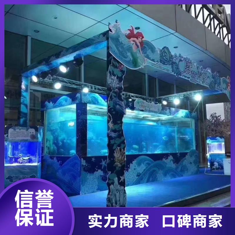 海洋主题动物表演羊驼出租行业口碑好