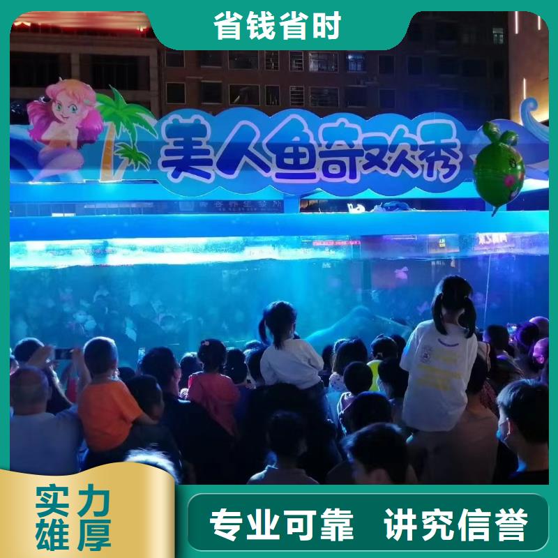 海洋主题动物表演 羊驼出租好评度高