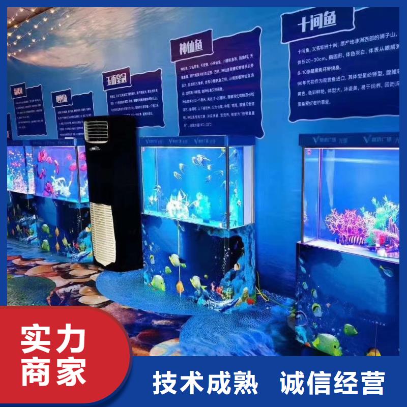 海洋主题动物表演海洋展租赁价格公道