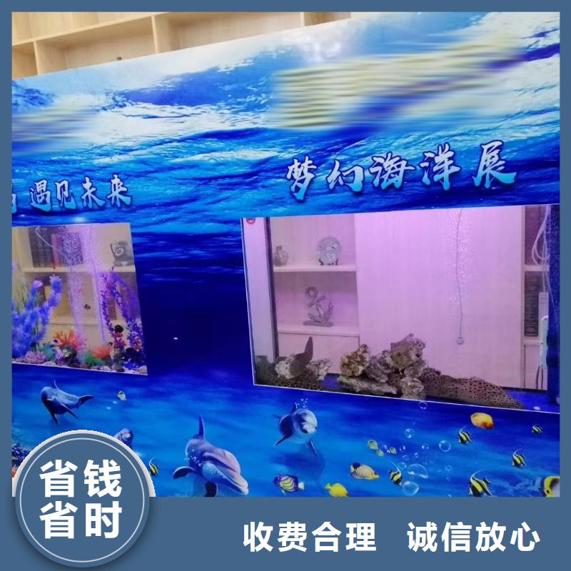 海洋主题动物表演商场马戏表演出租价格美丽