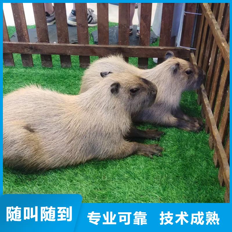 优选:运城【盐湖】(当地)检疫标准公司