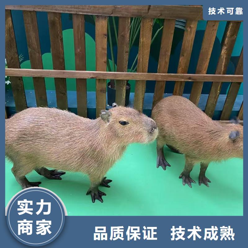 延边(图们)【当地】全年龄段适配产地