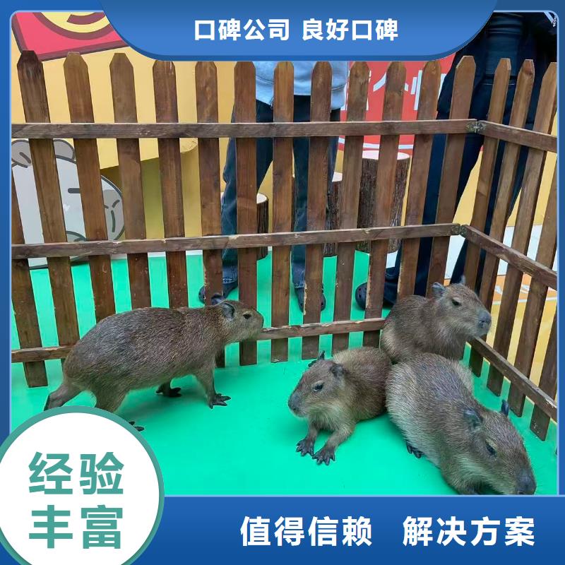 延边(图们)【当地】全年龄段适配产地