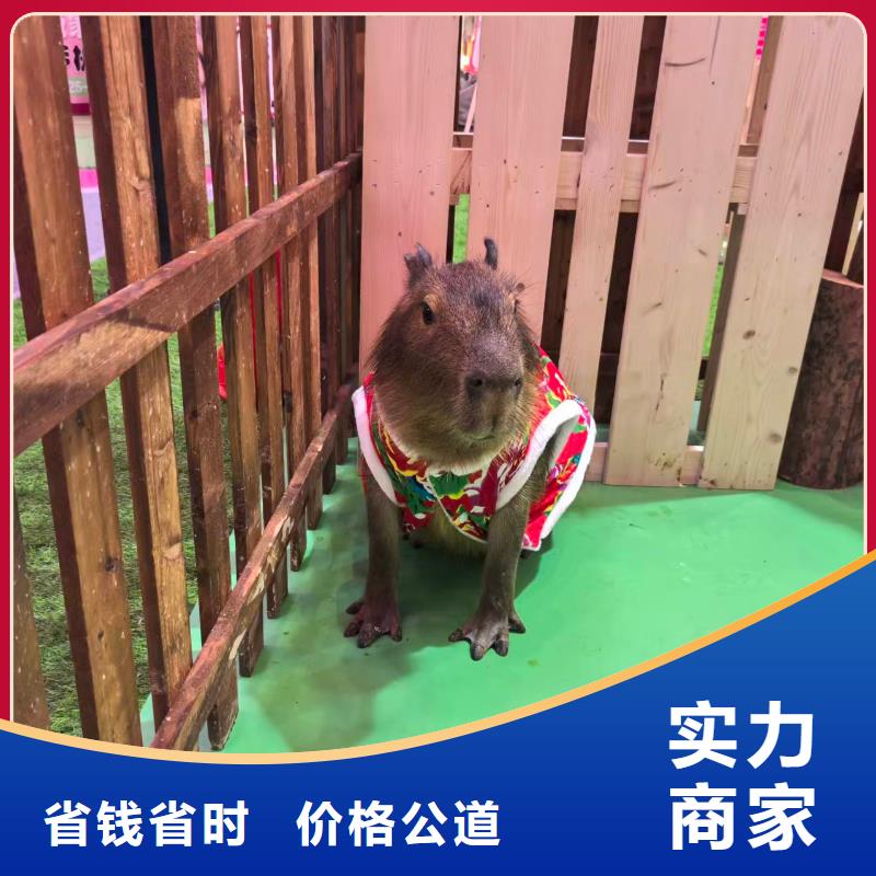 曲靖【当地】饲养员_让您放心的选择