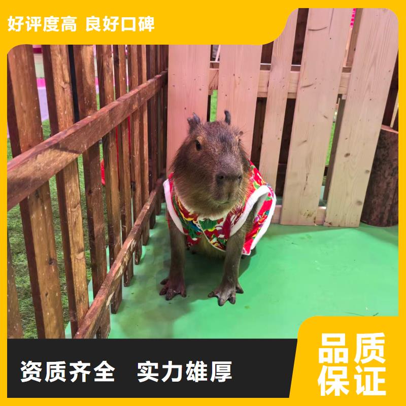 (曲靖)【本地】饲养员_让您放心的选择