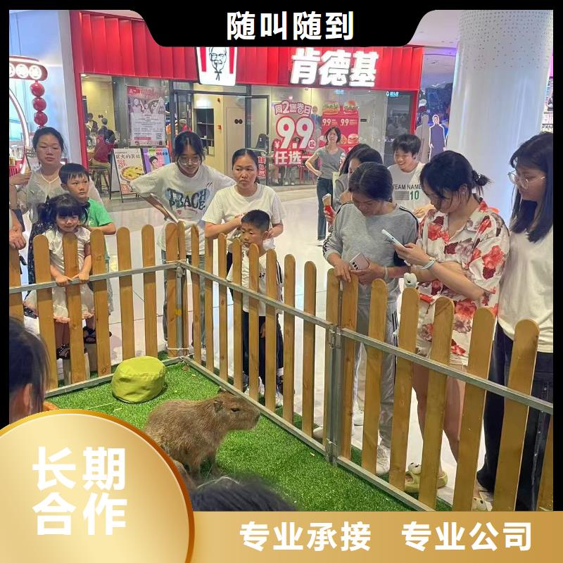 咸阳<长武> 本地 卡皮巴拉租赁厂家现货直发