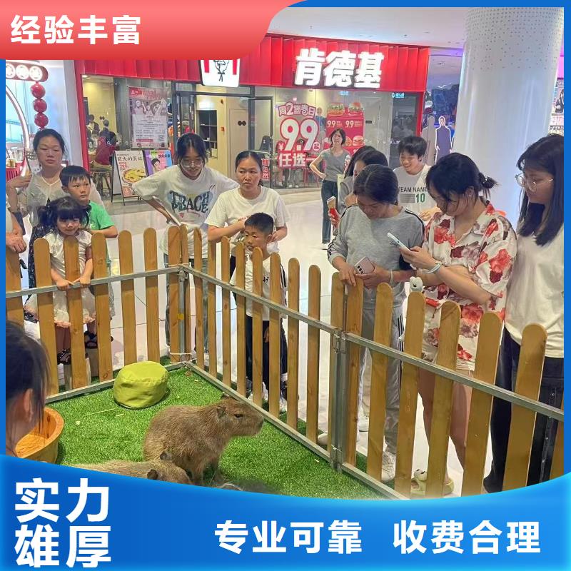 曲靖 本地 饲养员_让您放心的选择