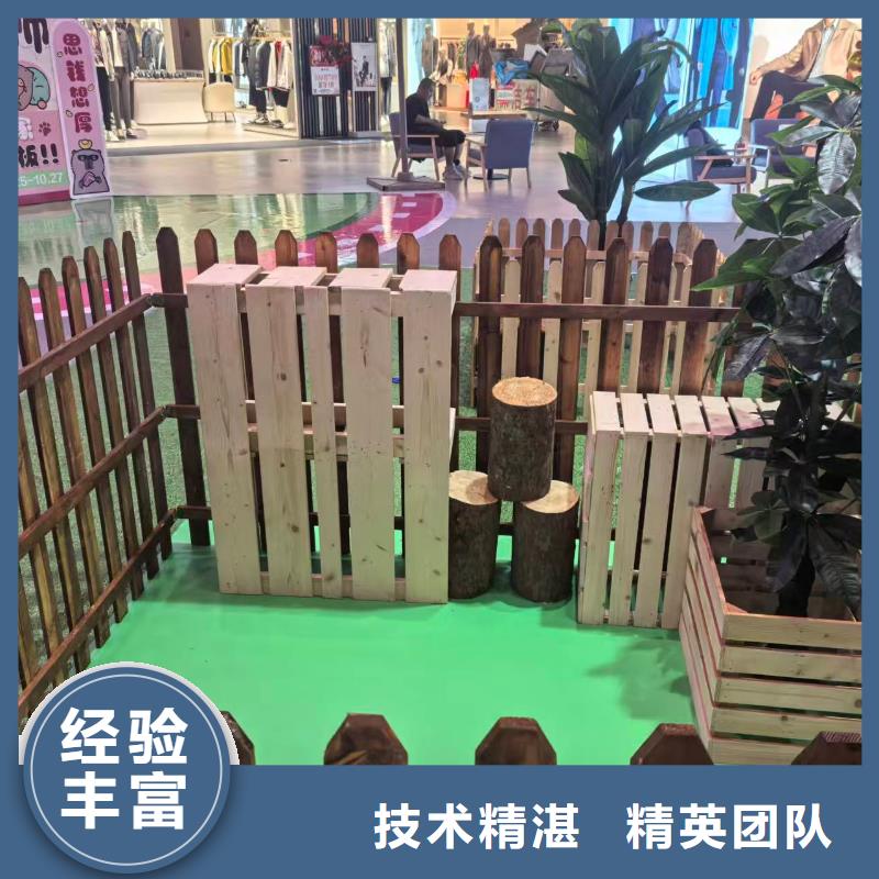 池州石台(当地)水豚出租新品正品