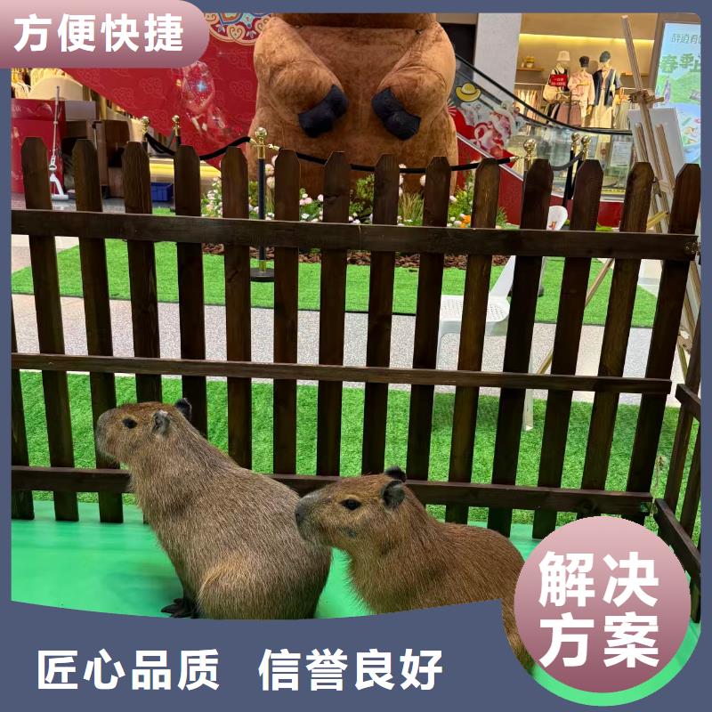 商场暖场新乡原阳【本地】厂家价格优惠