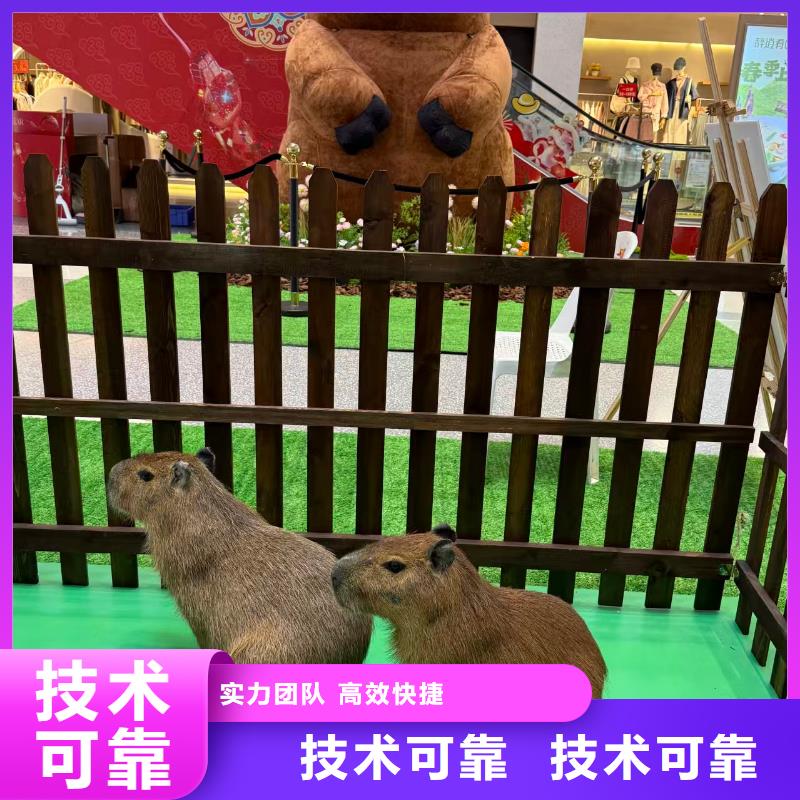 曲靖【当地】饲养员_让您放心的选择