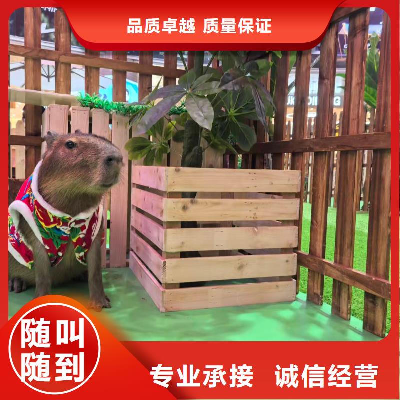 宣城郎溪【当地】养殖基地、养殖基地生产厂家-质量保证