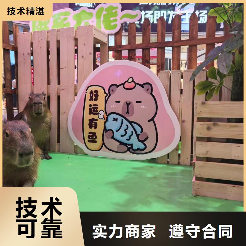 商场暖场新乡原阳【本地】厂家价格优惠