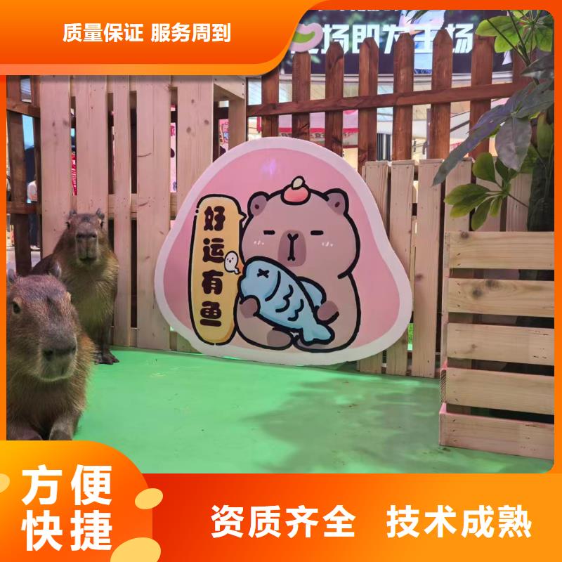 <曲靖>(当地)饲养员_让您放心的选择