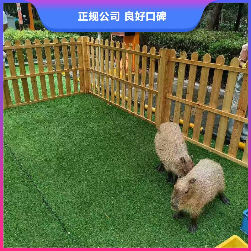 商场暖场新乡原阳【本地】厂家价格优惠