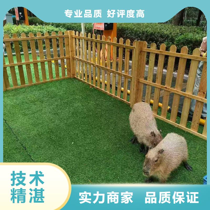 曲靖【当地】饲养员_让您放心的选择