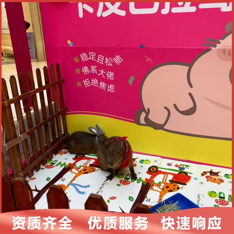 宣城郎溪【当地】养殖基地、养殖基地生产厂家-质量保证