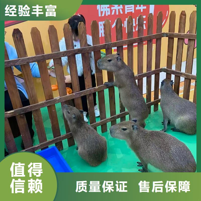 <曲靖>(当地)饲养员_让您放心的选择