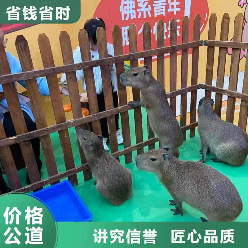 曲靖【当地】饲养员_让您放心的选择