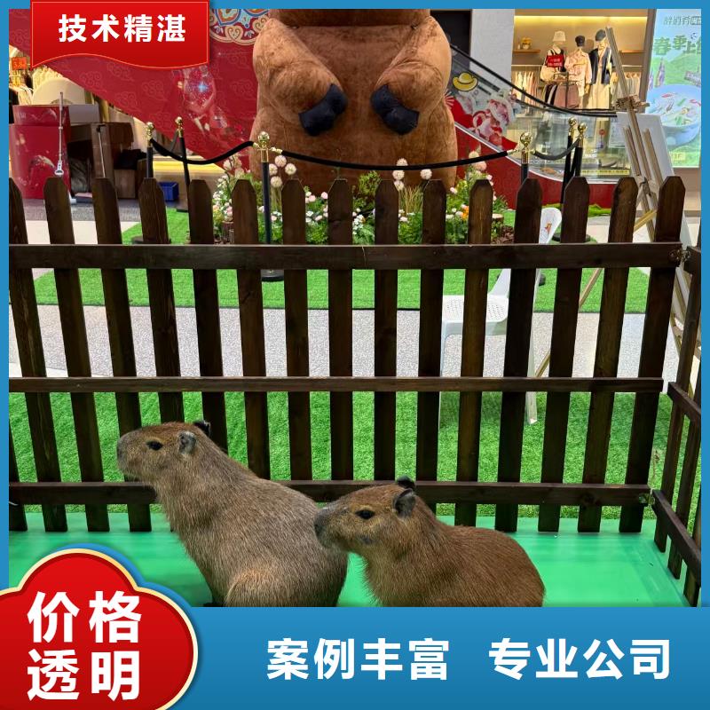 商场暖场新乡原阳【本地】厂家价格优惠