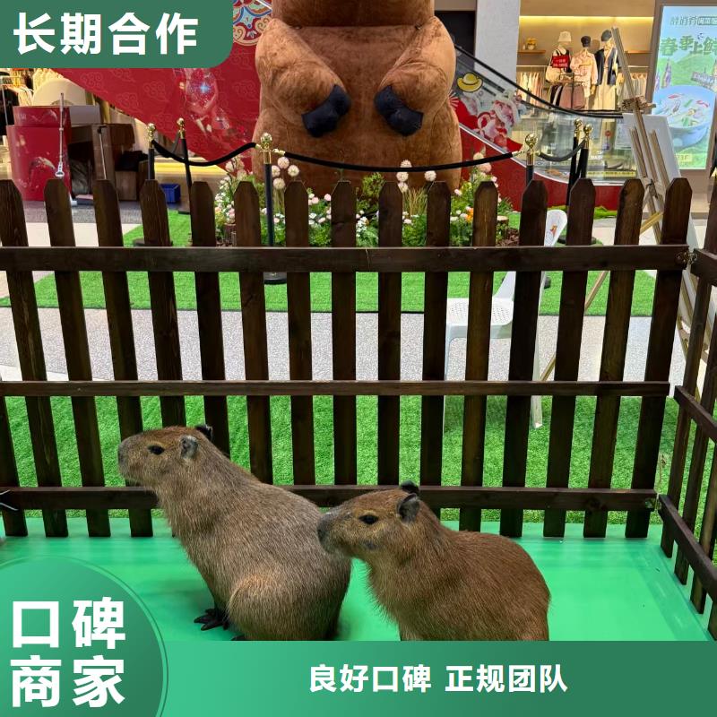 <曲靖>(当地)饲养员_让您放心的选择