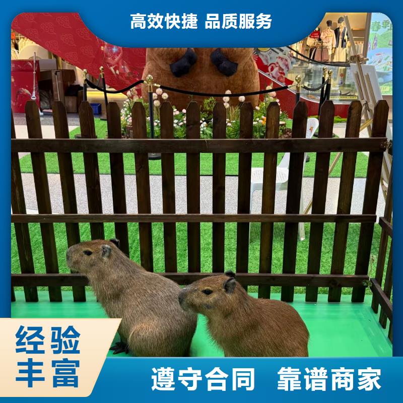 曲靖【当地】饲养员_让您放心的选择