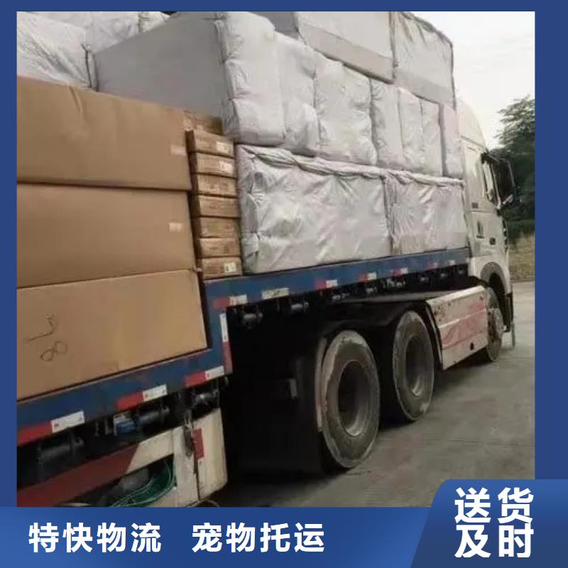 伊犁专线物流乐从到伊犁货运专线定时发车