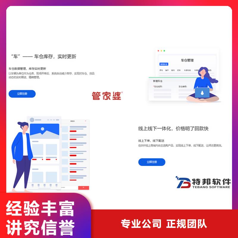 软件进销存系统精英团队