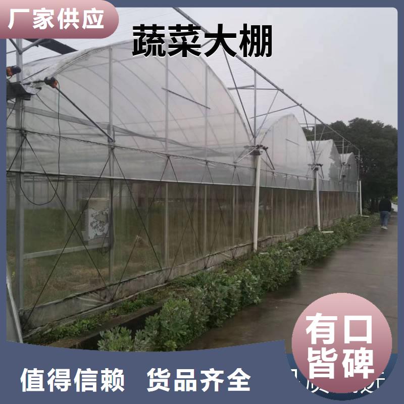 广东省深圳市华富街道蔬菜大棚价格本地厂家