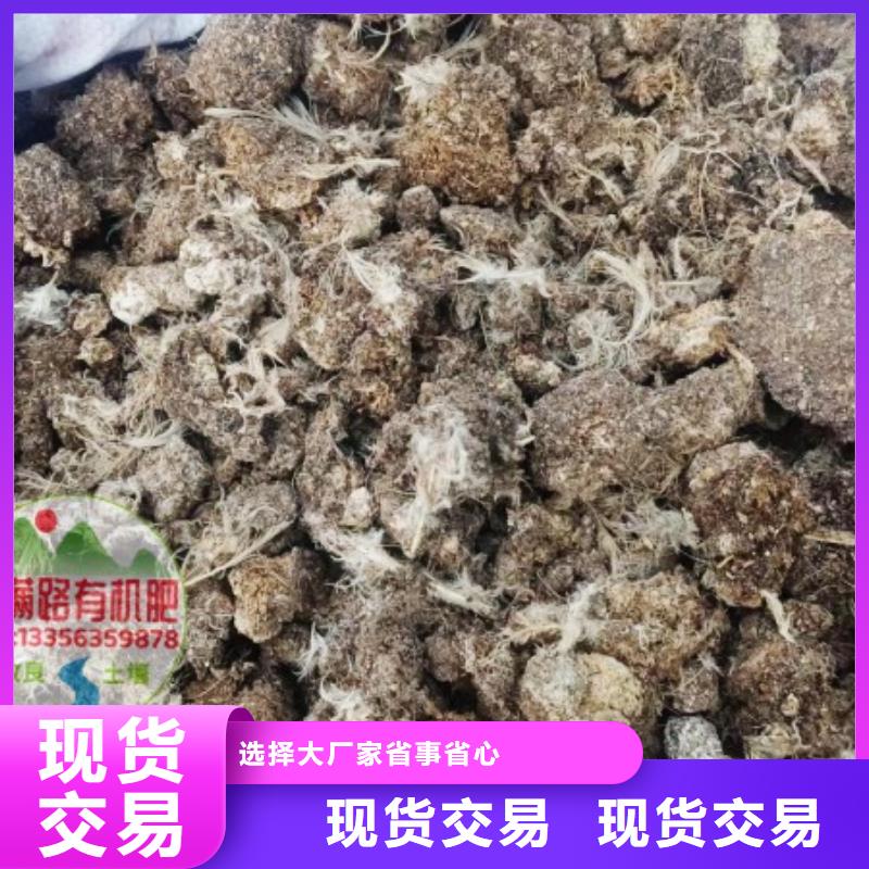 汕头市盐鸿镇发酵羊粪温室大棚用