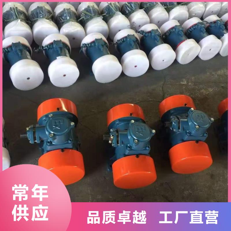 【防爆振动电机防爆振动电机厂家快速物流发货】