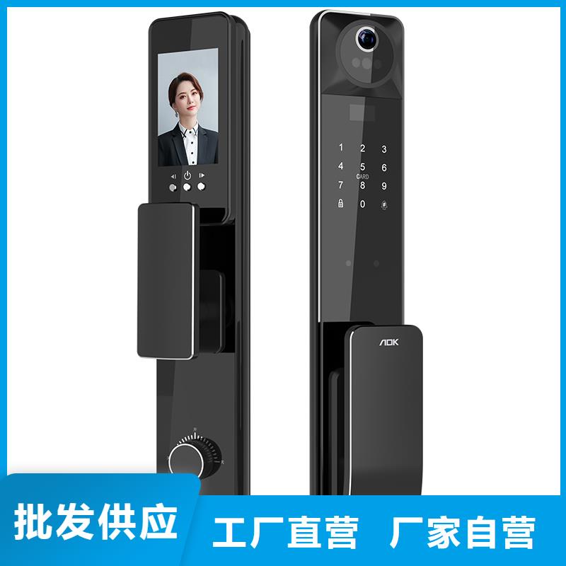 智能锁3D人脸识别智能锁定制销售售后为一体