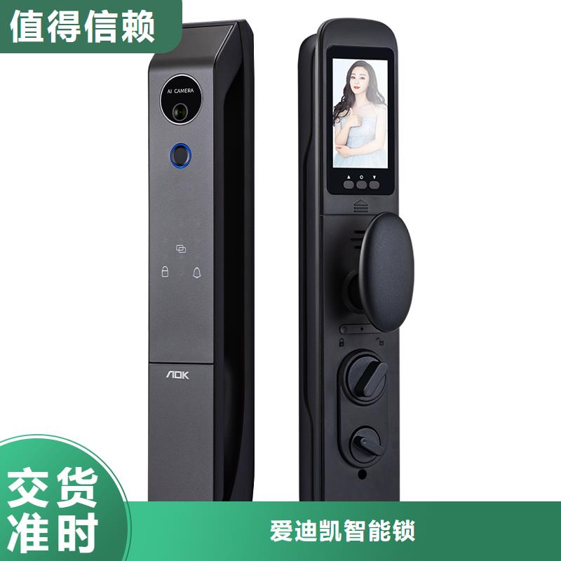 智能锁人脸识别智能锁公司一致好评产品