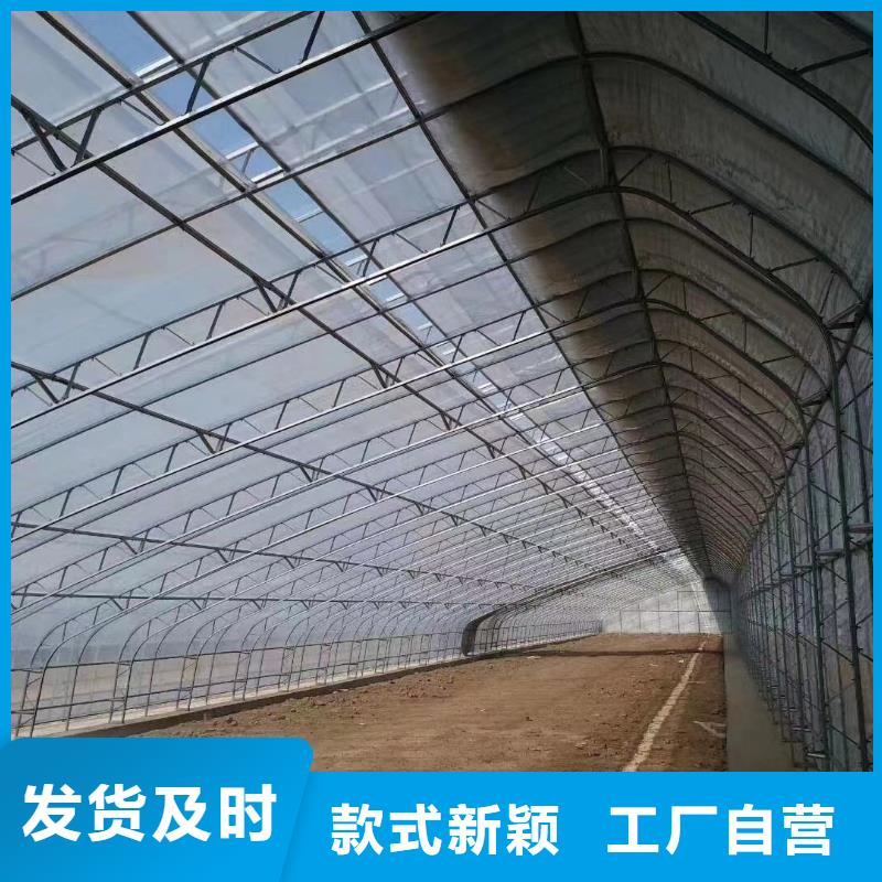 (迪庆)[当地]玻璃温室烟草生产