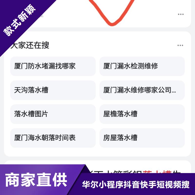 软件网站制作开发量身定做营销方案