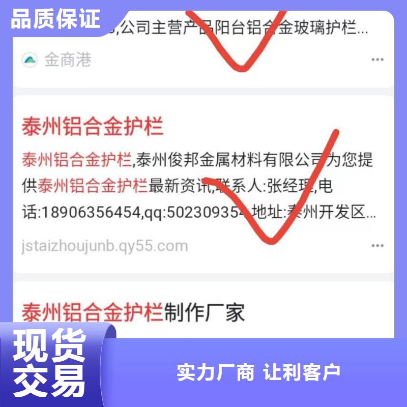 软件网站制作开发一站式服务