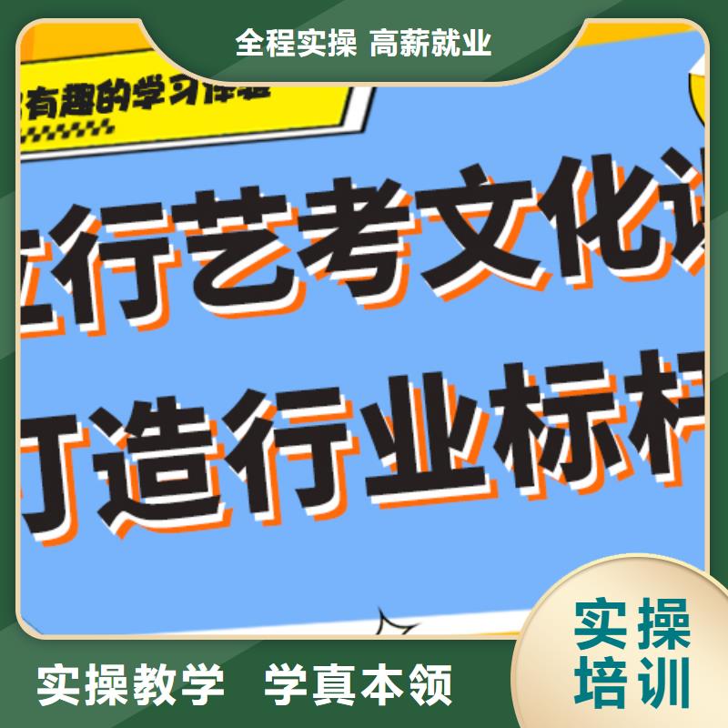 艺术生文化课补习机构排行榜定制专属课程