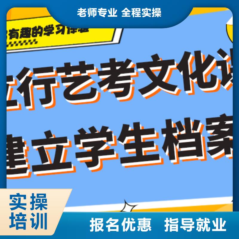 怎么样艺术生文化课培训补习定制专属课程