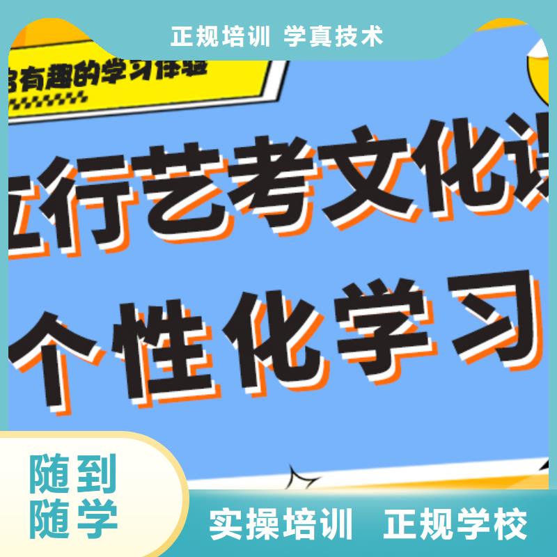 怎么样艺术生文化课培训补习定制专属课程