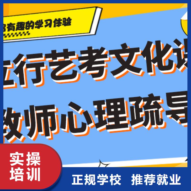 艺考生文化课补习机构哪里好艺考生文化课专用教材