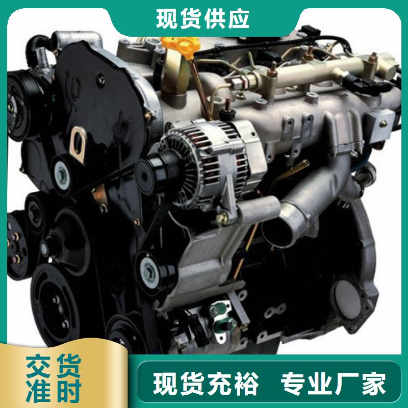 实力公司贝隆机械设备有限公司柴油发动机|品质好的柴油发动机厂家