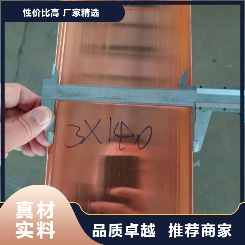 (咸丰)(本地)紫铜排源厂定制